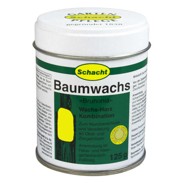 Schacht Baumwachs Brunonia